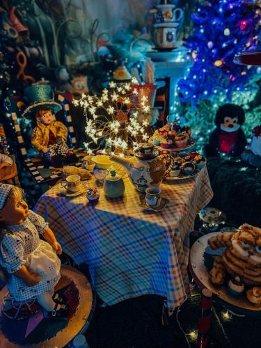 Wonderland (17)